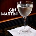 Gin Martini